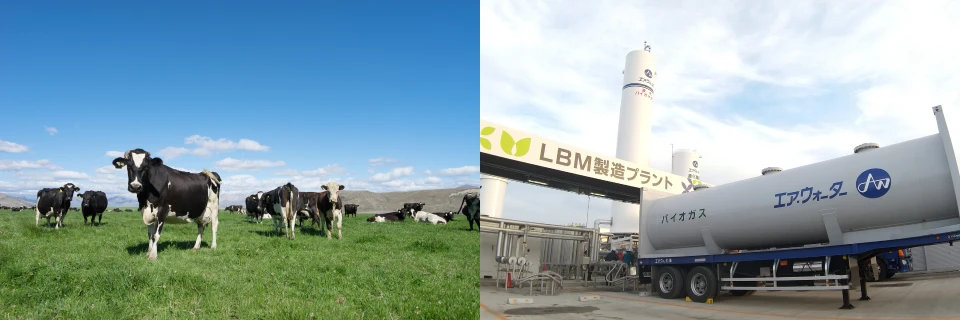 牛ふん由来のバイオガス捕集システム